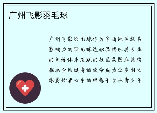 广州飞影羽毛球