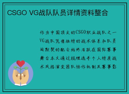 CSGO VG战队队员详情资料整合