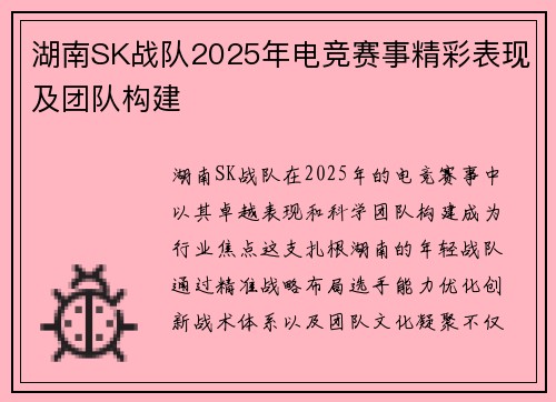 湖南SK战队2025年电竞赛事精彩表现及团队构建