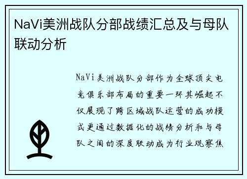 NaVi美洲战队分部战绩汇总及与母队联动分析